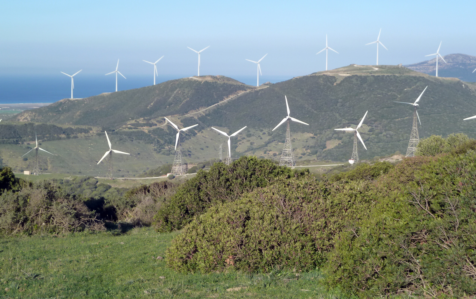 El Cabrito Wind Farm restoration