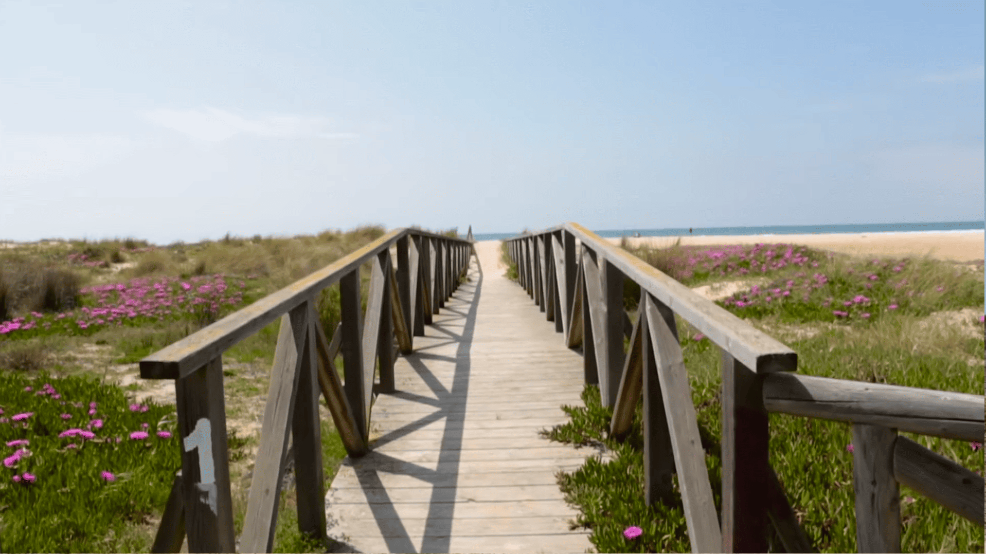 Conil 2025 Strategic Plan