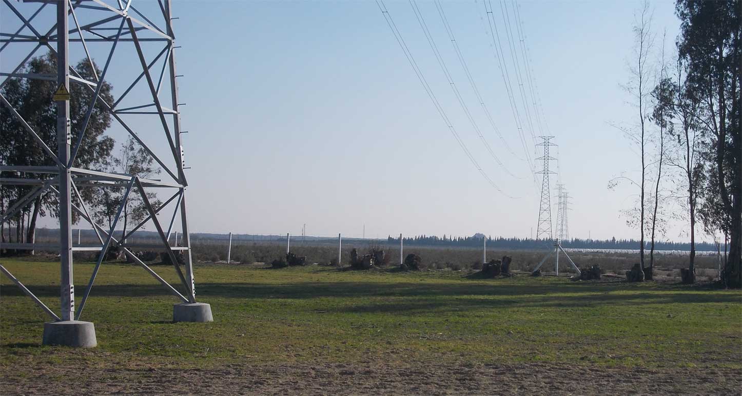 Rocío-Aljarafe 220 kV line EIA