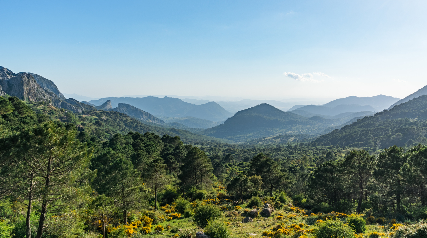 Green infrastructure indices in Andalusia