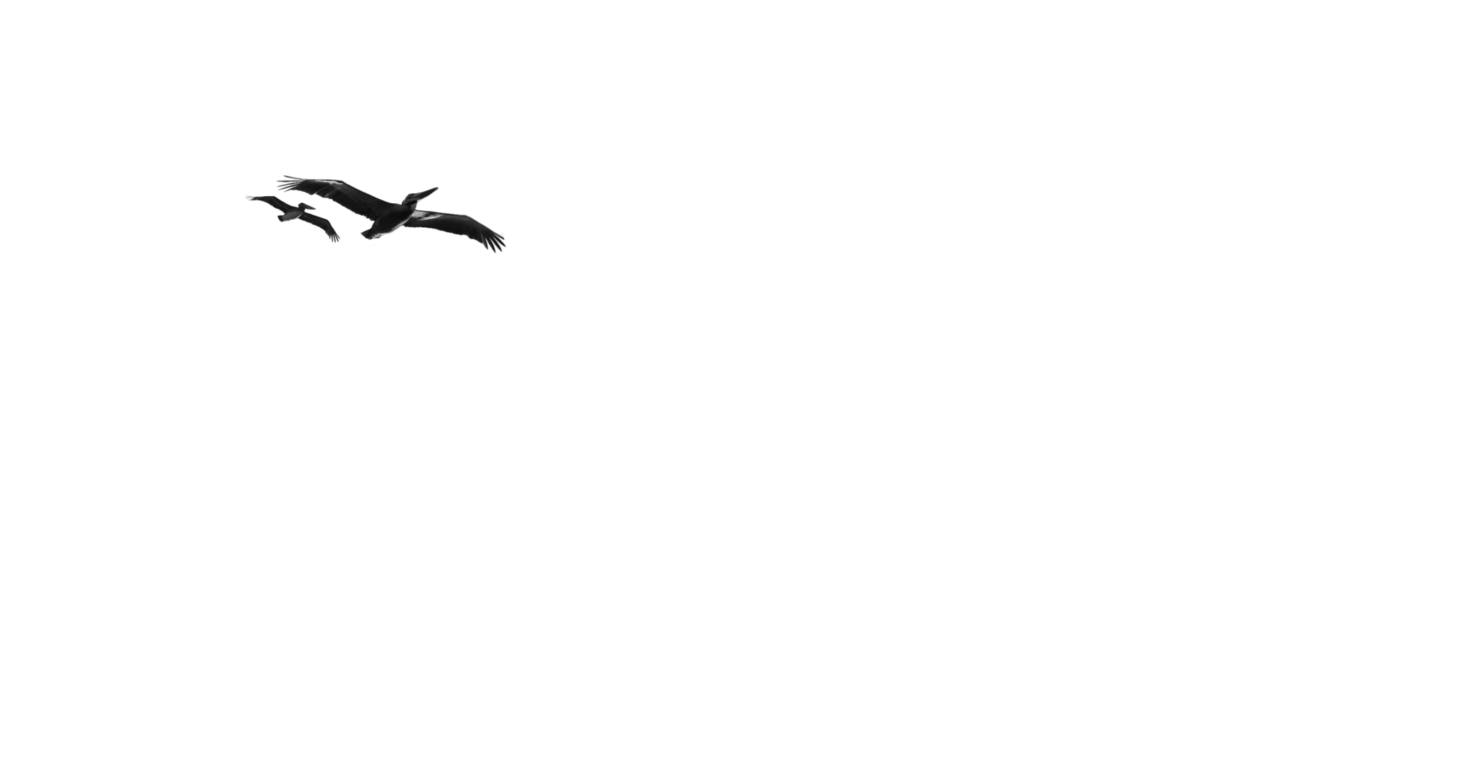 Intro Image 1