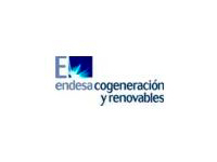 Endesa cogeneración y renovables