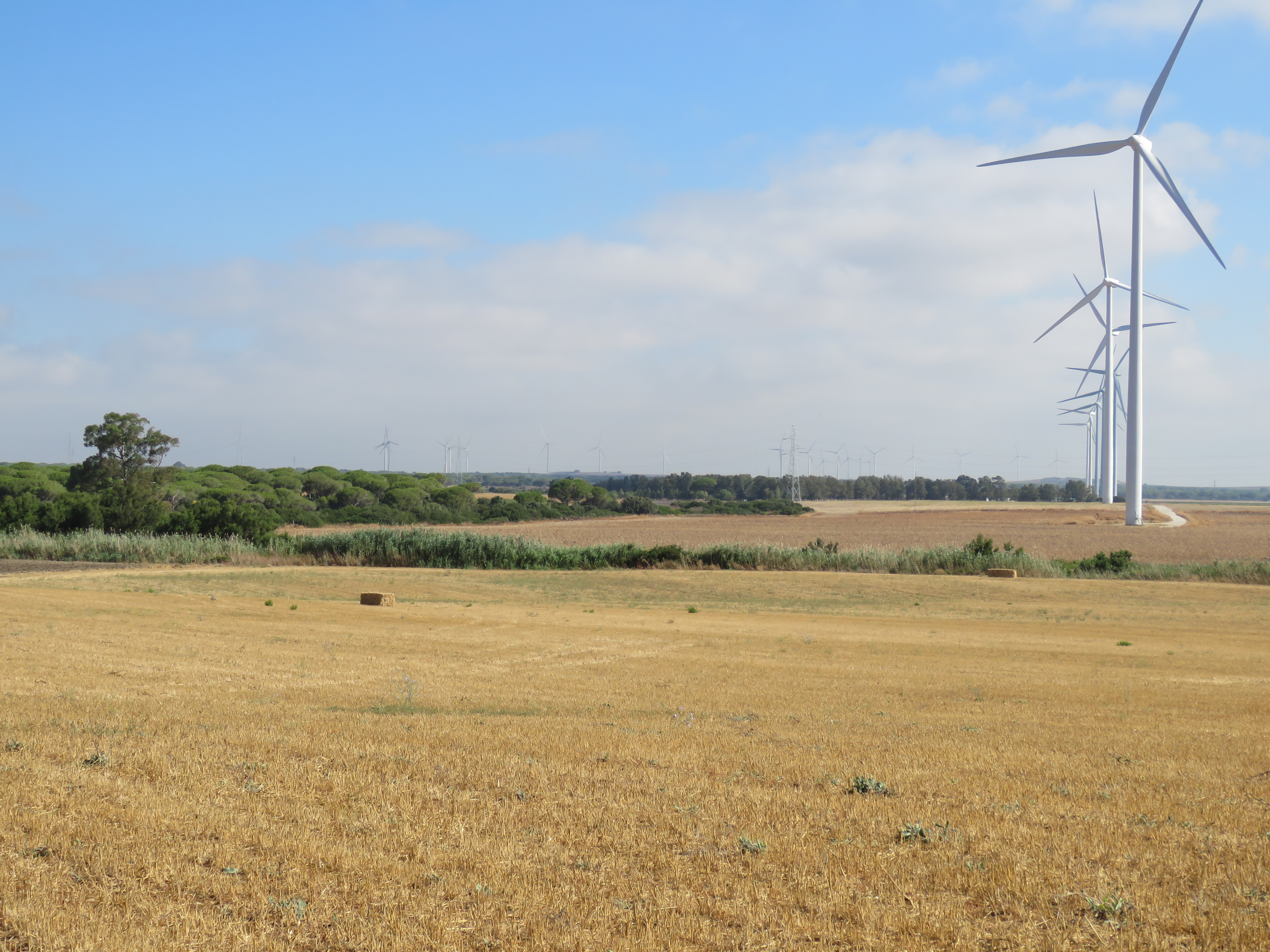 Energías renovables.