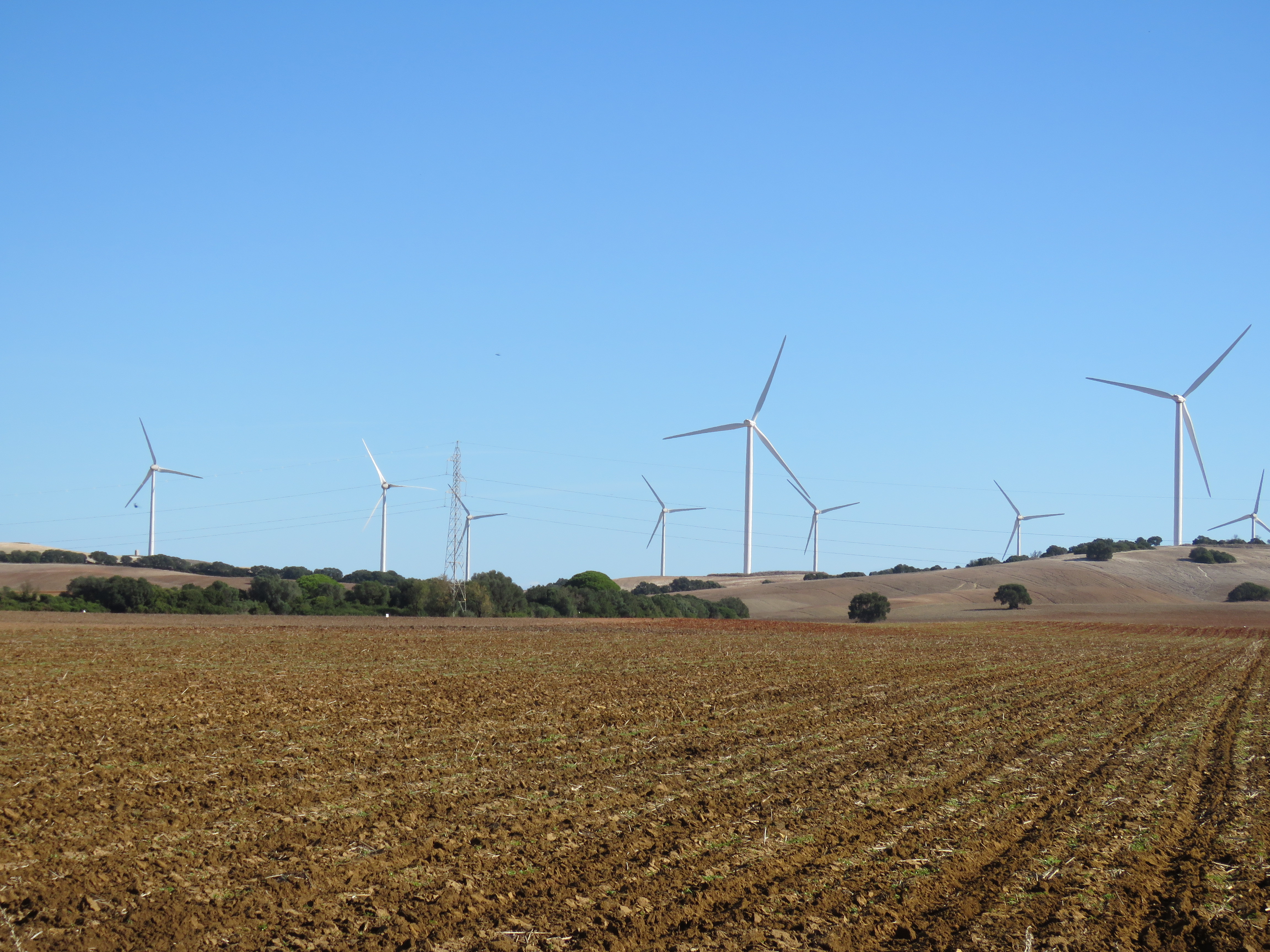 Energías renovables6.